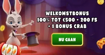 Magius Casino